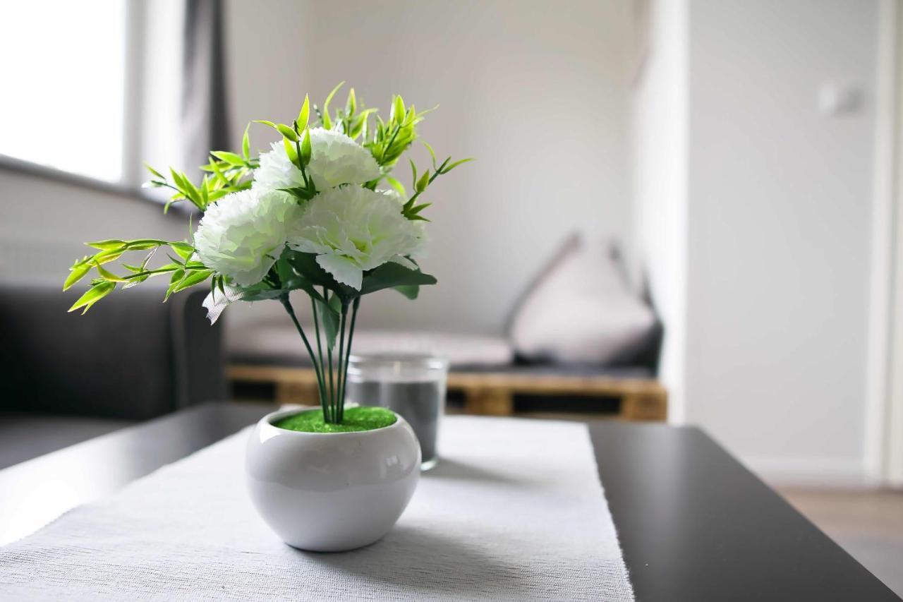 Heide Ferienwohnung Sued Schneverdingen Exteriér fotografie