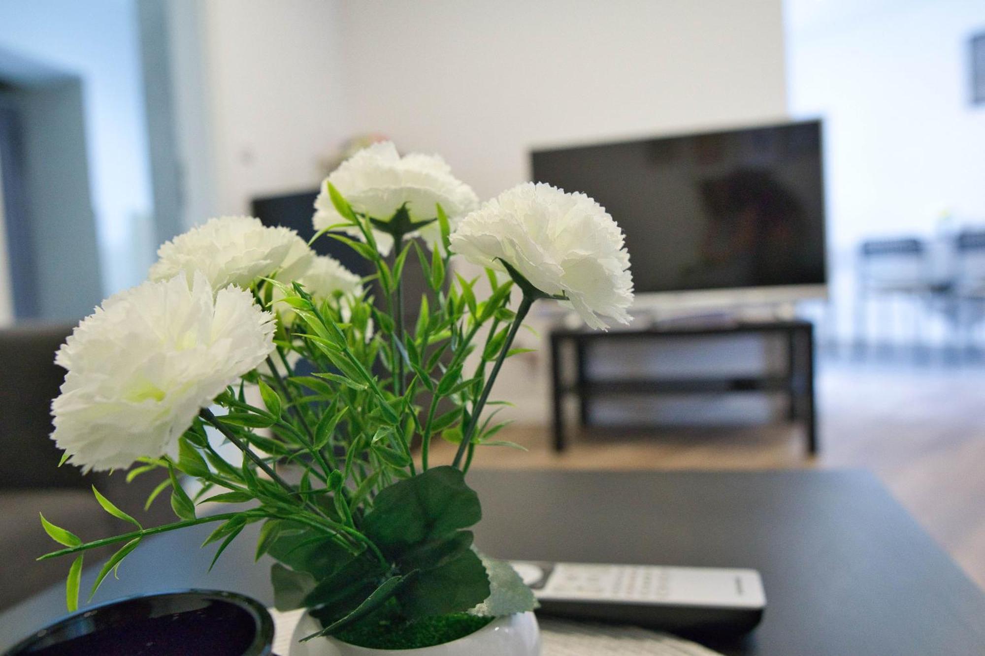 Heide Ferienwohnung Sued Schneverdingen Exteriér fotografie
